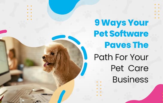 9 Ways Your Pet Software Paves The Path For Your Pet Care Business