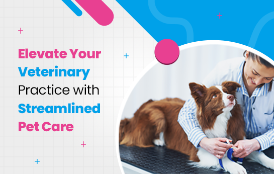 Elevate Your Veterinary Practice with Streamlined Pet Care